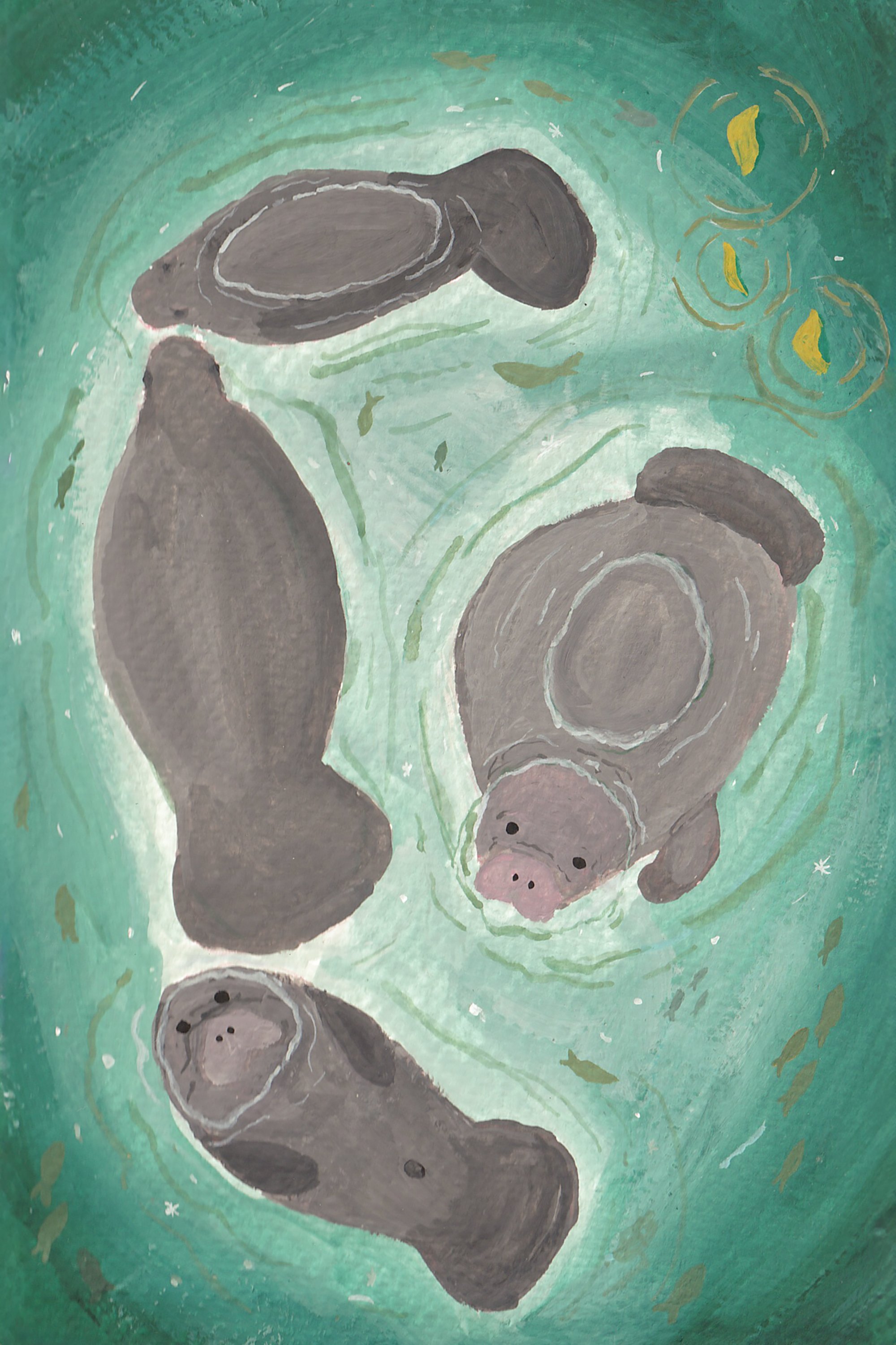 Manatee Print