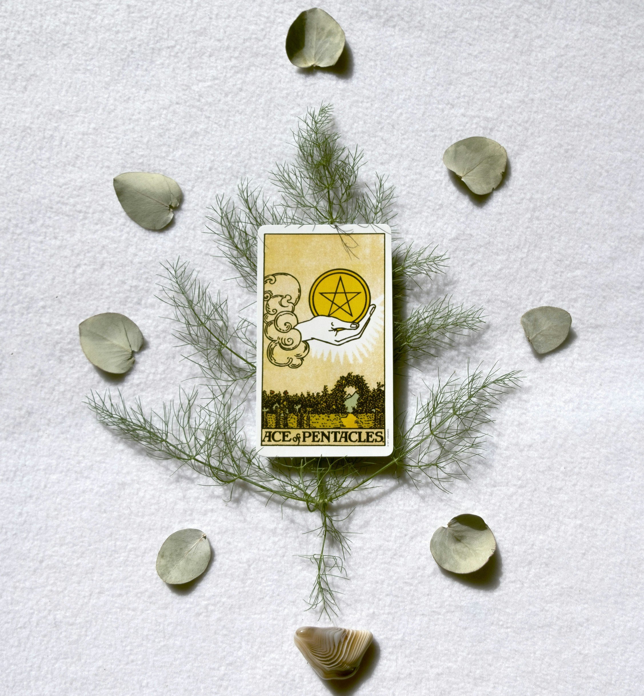 Getting the Most Out of Your Reading: How to Prepare for a Reading