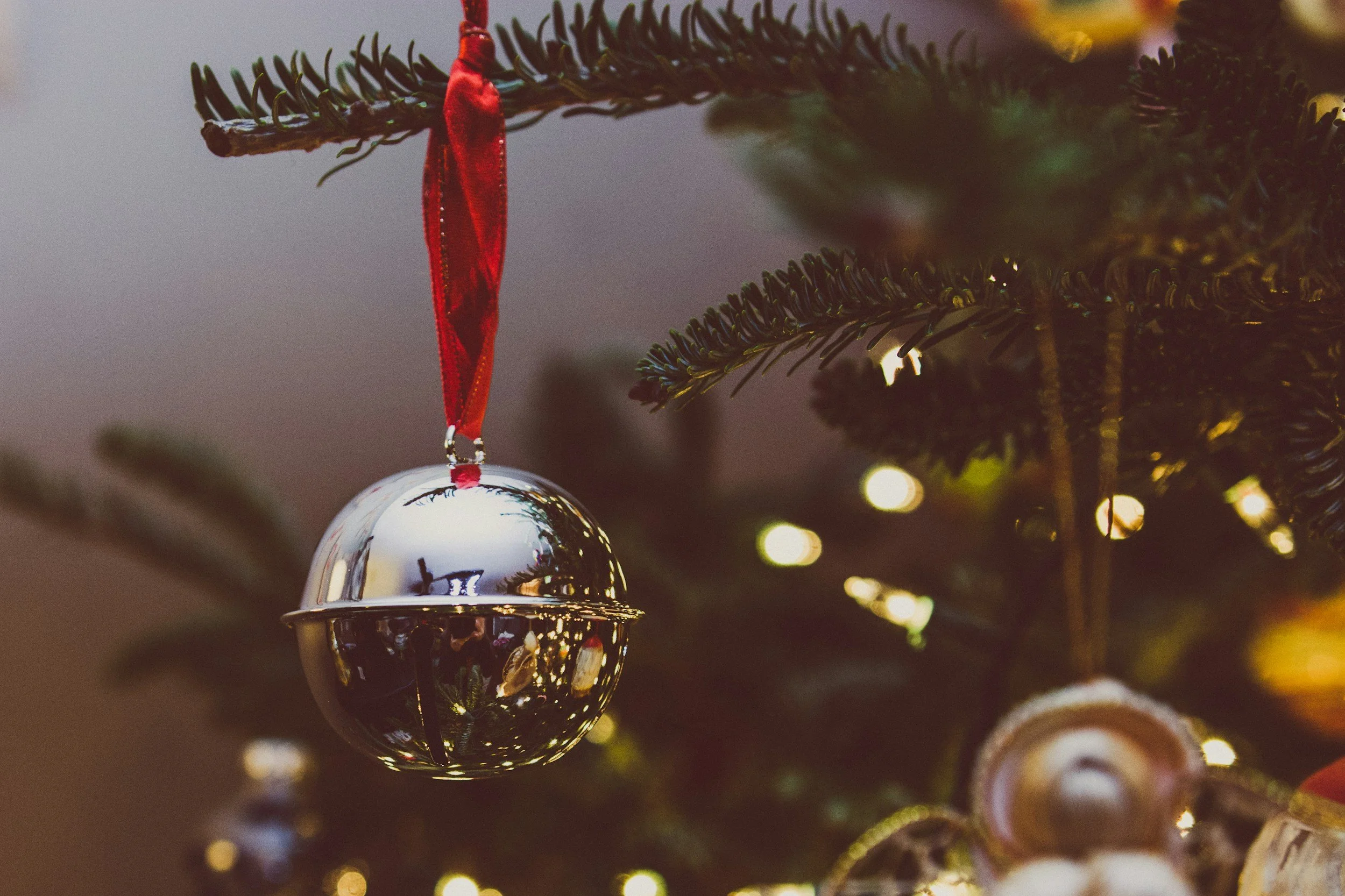 THE POLAR EXPRESS Train Ride Auditions