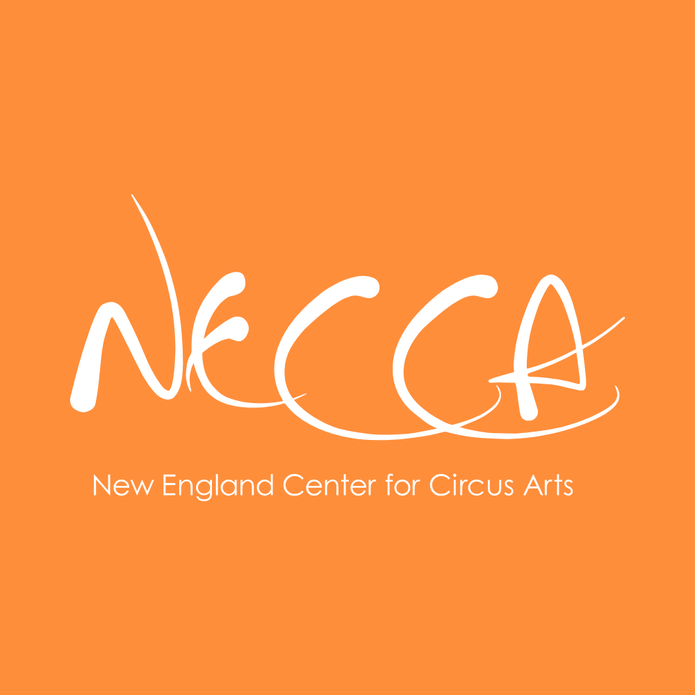 What it takes to get into ProTrack, NECCA’s professional circus program