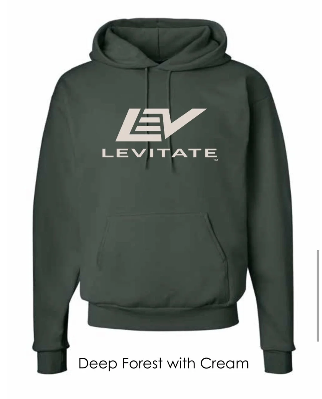Levitate Mindset Hoodie