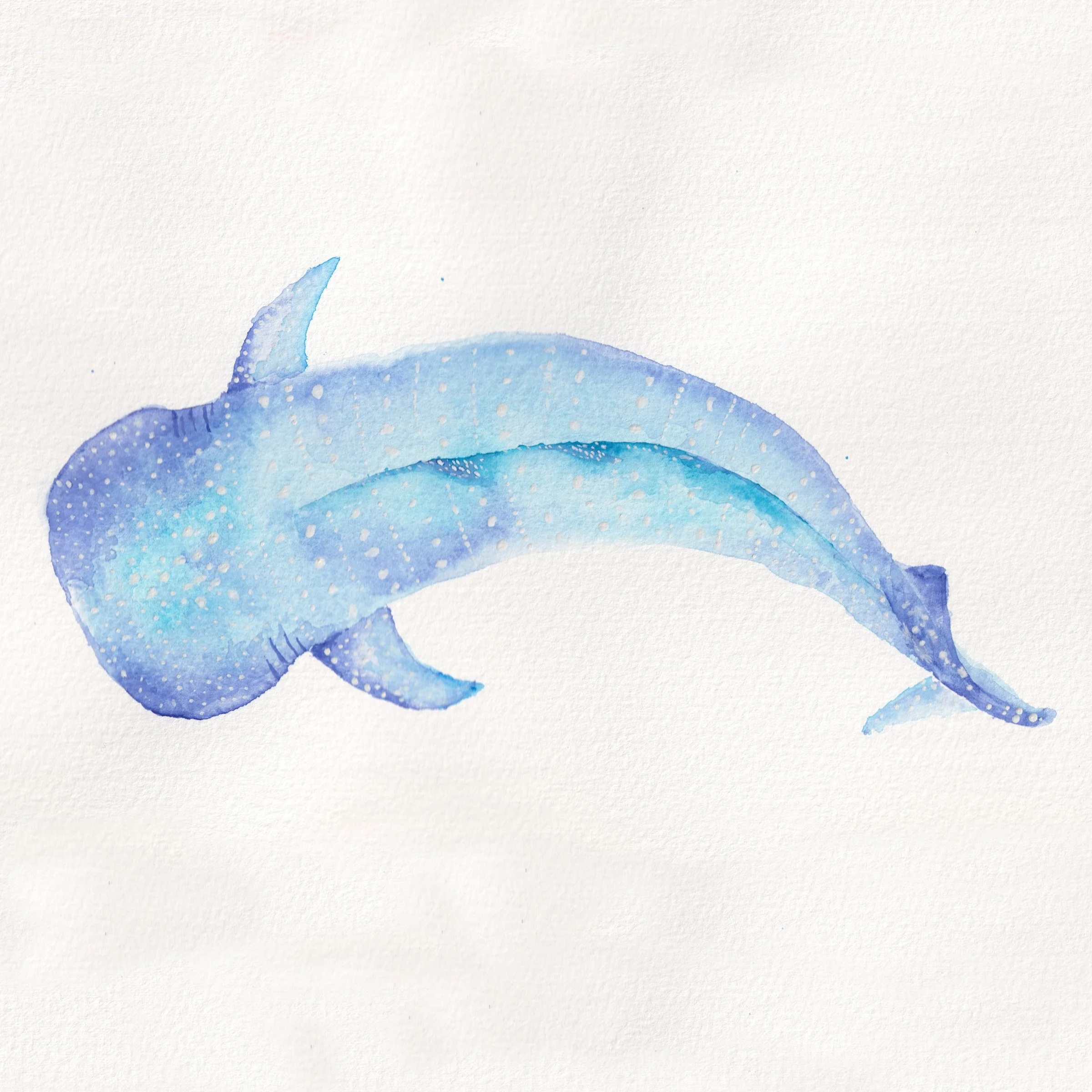 A watercolor painting of a blue whale with spots on its body, swimming against a white background.