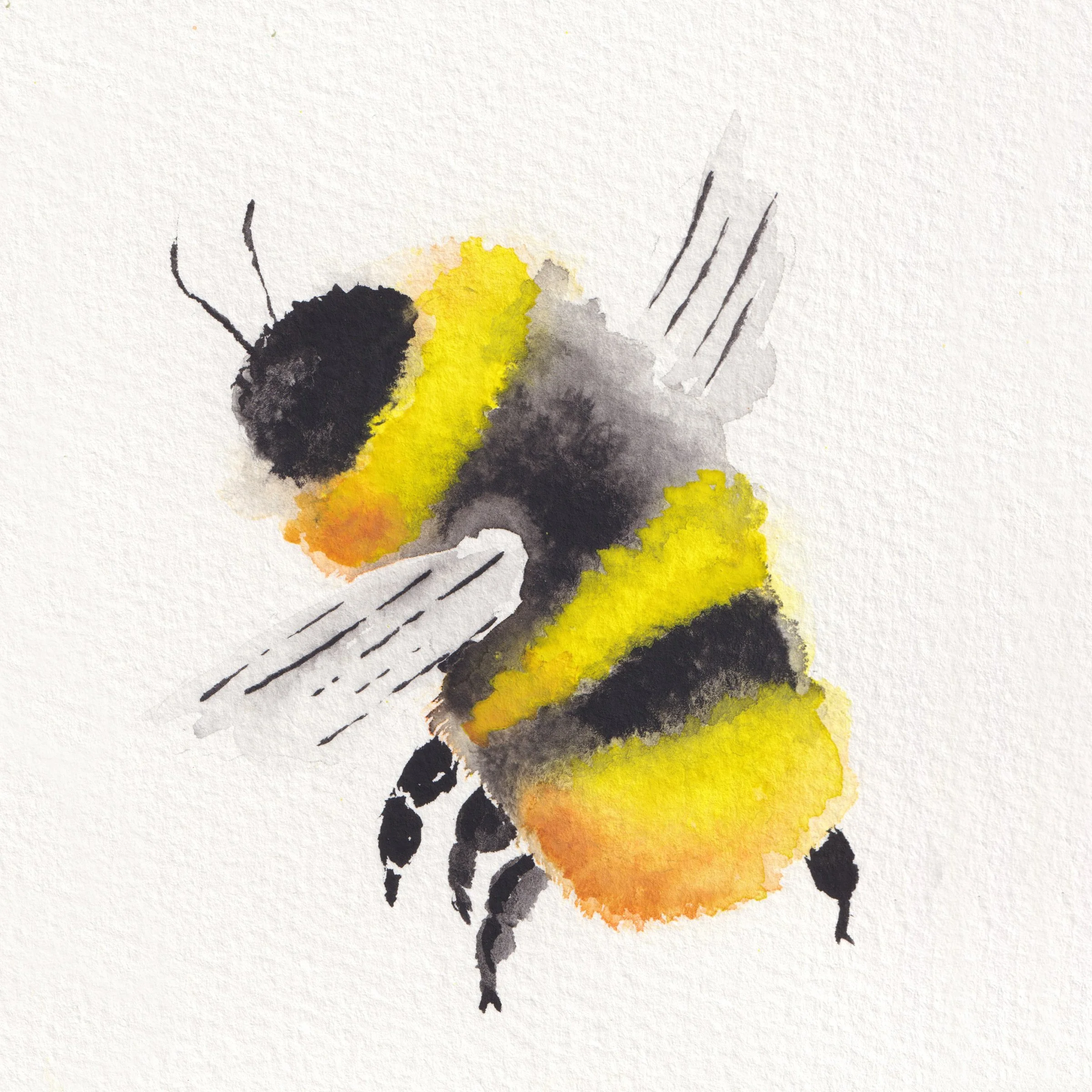 Watercolor painting of a bumblebee with yellow and black stripes on white textured paper.