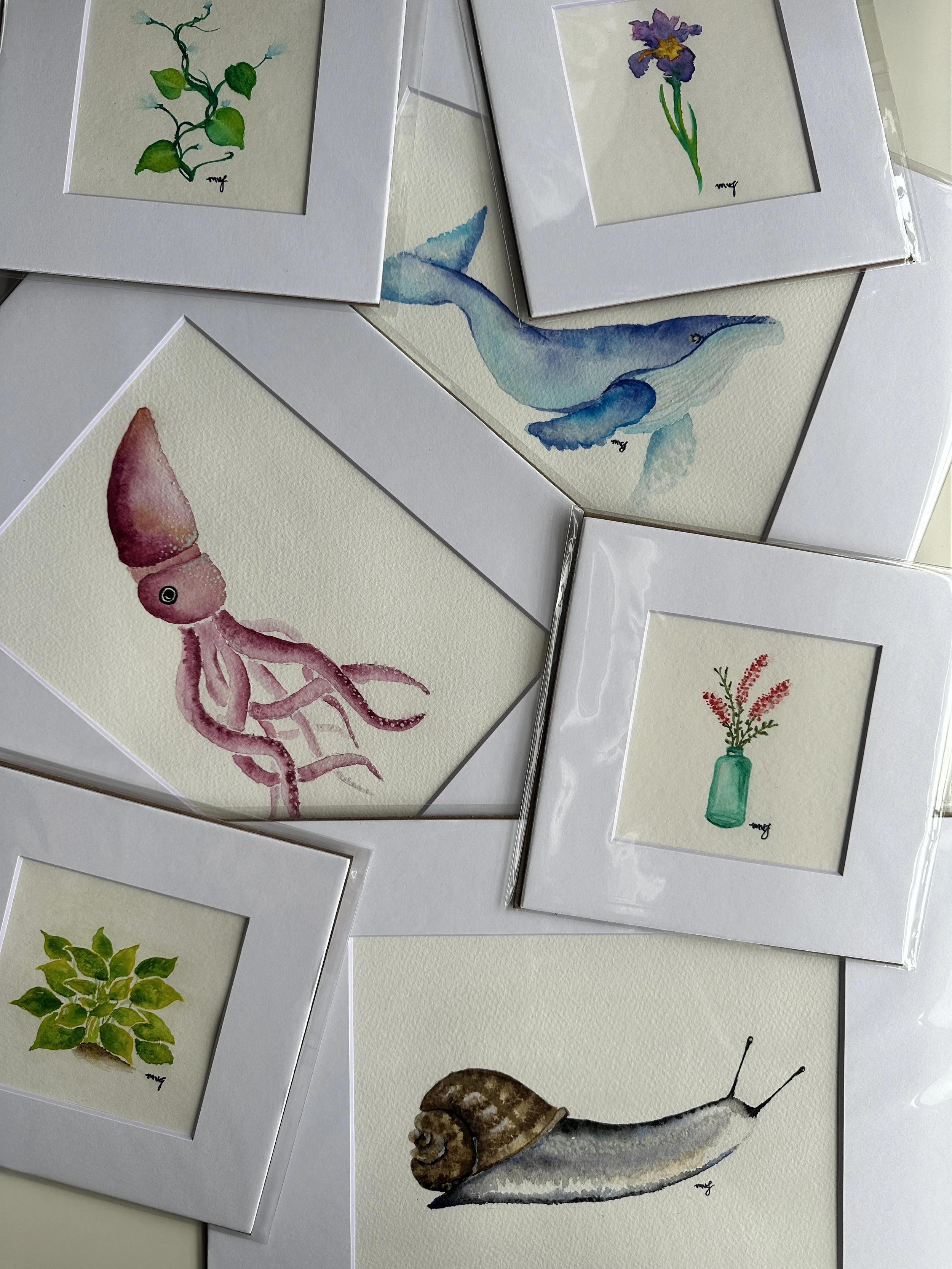 Collection of watercolor paintings of various nature and sea life, including a squid, a whale, a snail, a plant, a lavender bouquet, an iris, and a green leafy plant, each framed and signed.