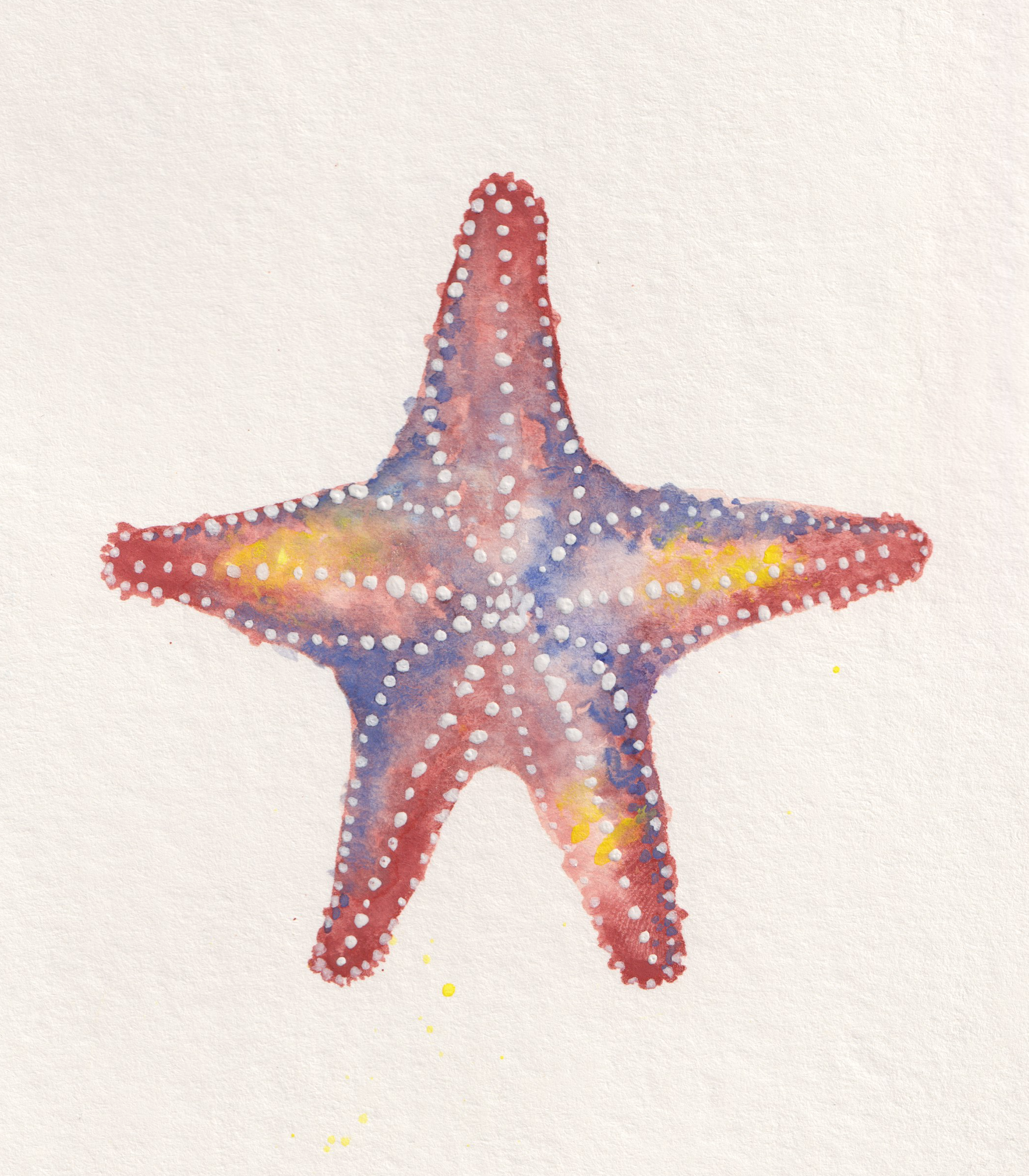 Seastar - Watercolor Original Painting
