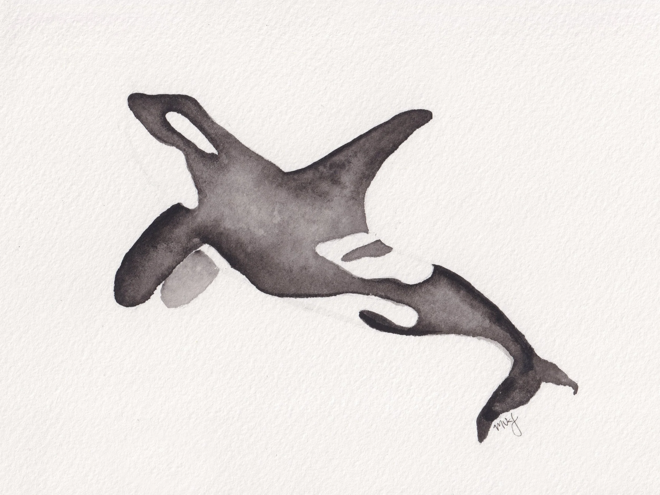 A black and gray watercolor painting of a bird in flight, signed by Mely.