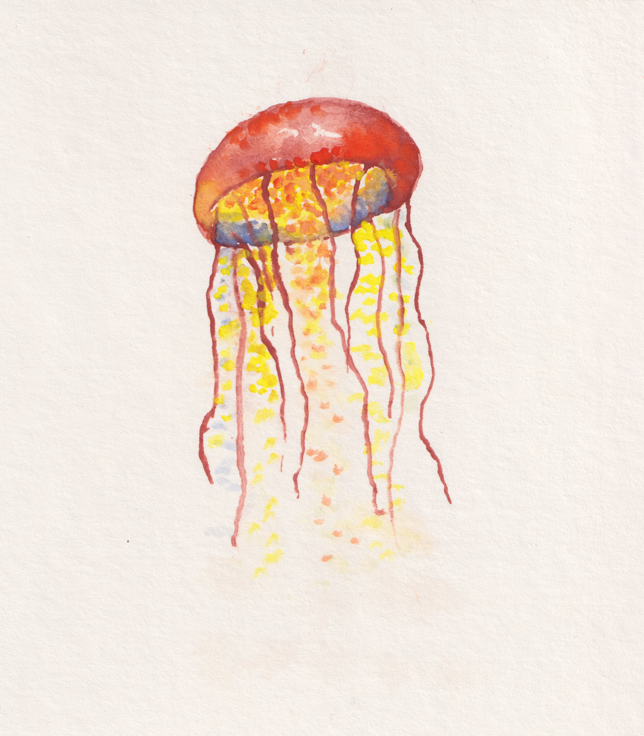 Jellyfish 1 - Watercolor Original Painting