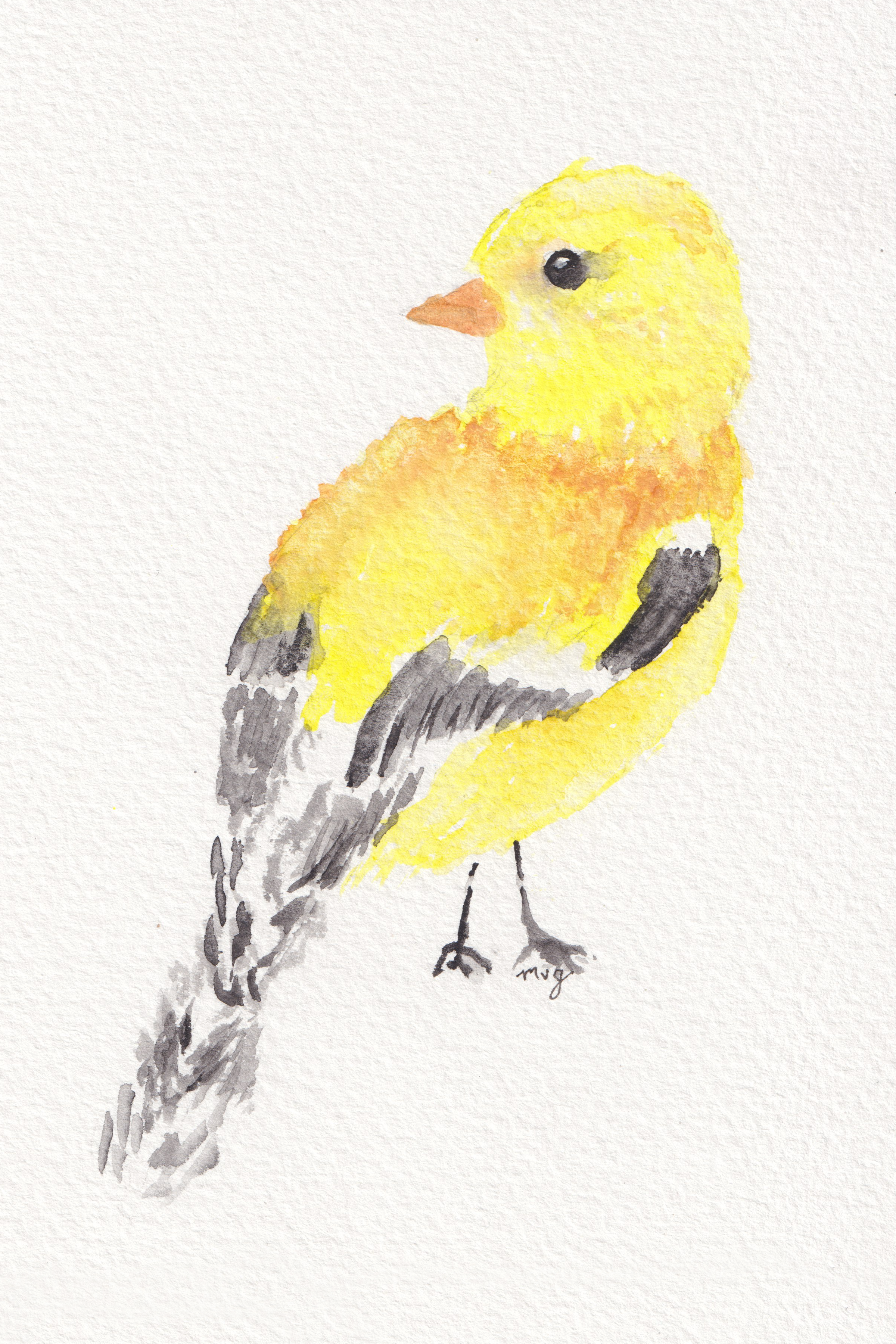 Watercolor painting of a yellow finch bird with orange beak and black and white wings.