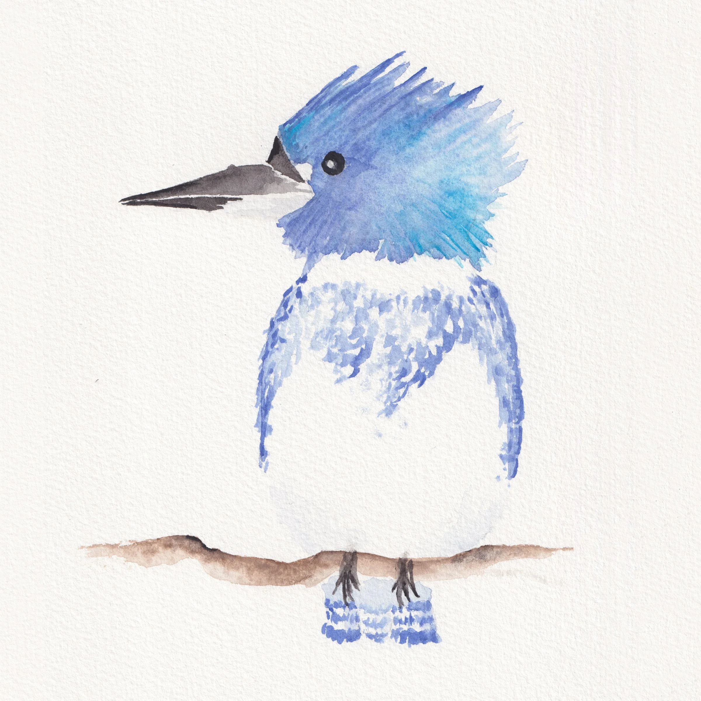 Watercolor painting of a blue bird, possibly a kingfisher, sitting on a branch with a plain background.
