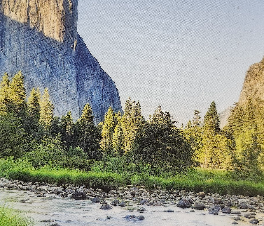 Screenshot 2026-03-27 125103.png