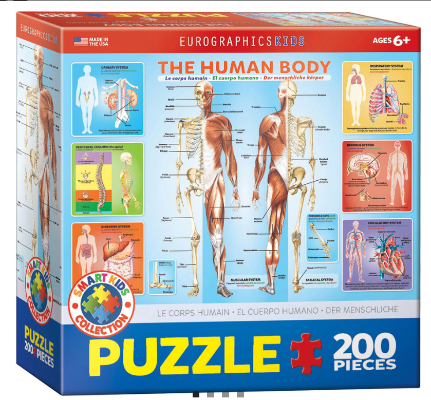 Screenshot 2026-04-03 194926.png