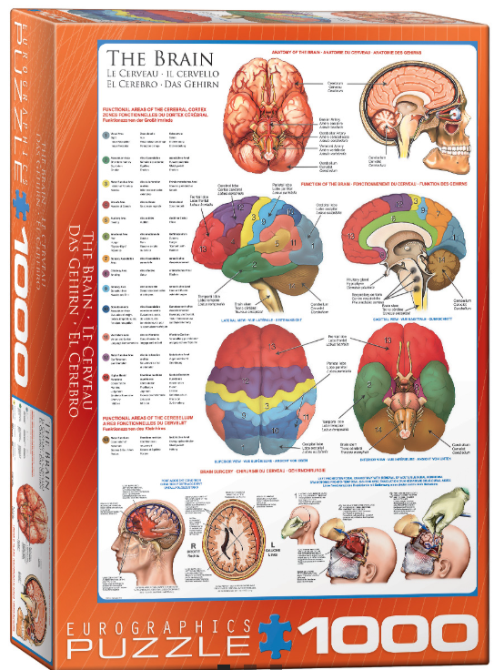 Screenshot 2026-04-09 203743.png