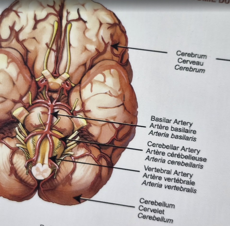 Screenshot 2026-03-25 151546.png