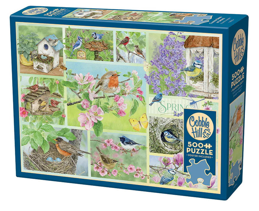 GARDEN BIRDS!
