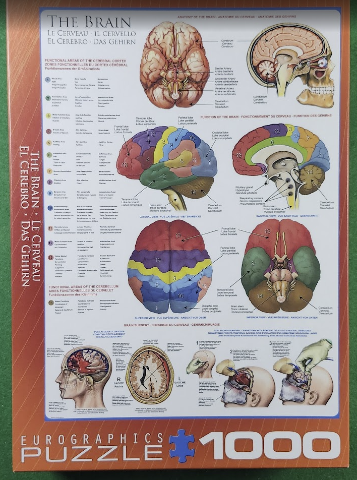 Screenshot 2026-03-25 151531.png