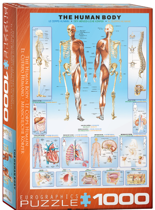 Screenshot 2026-04-09 203911.png