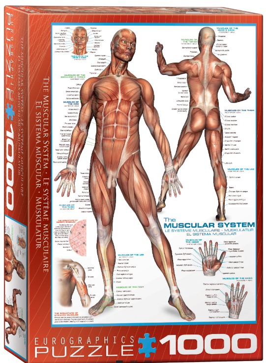 Screenshot 2026-04-09 203840.png