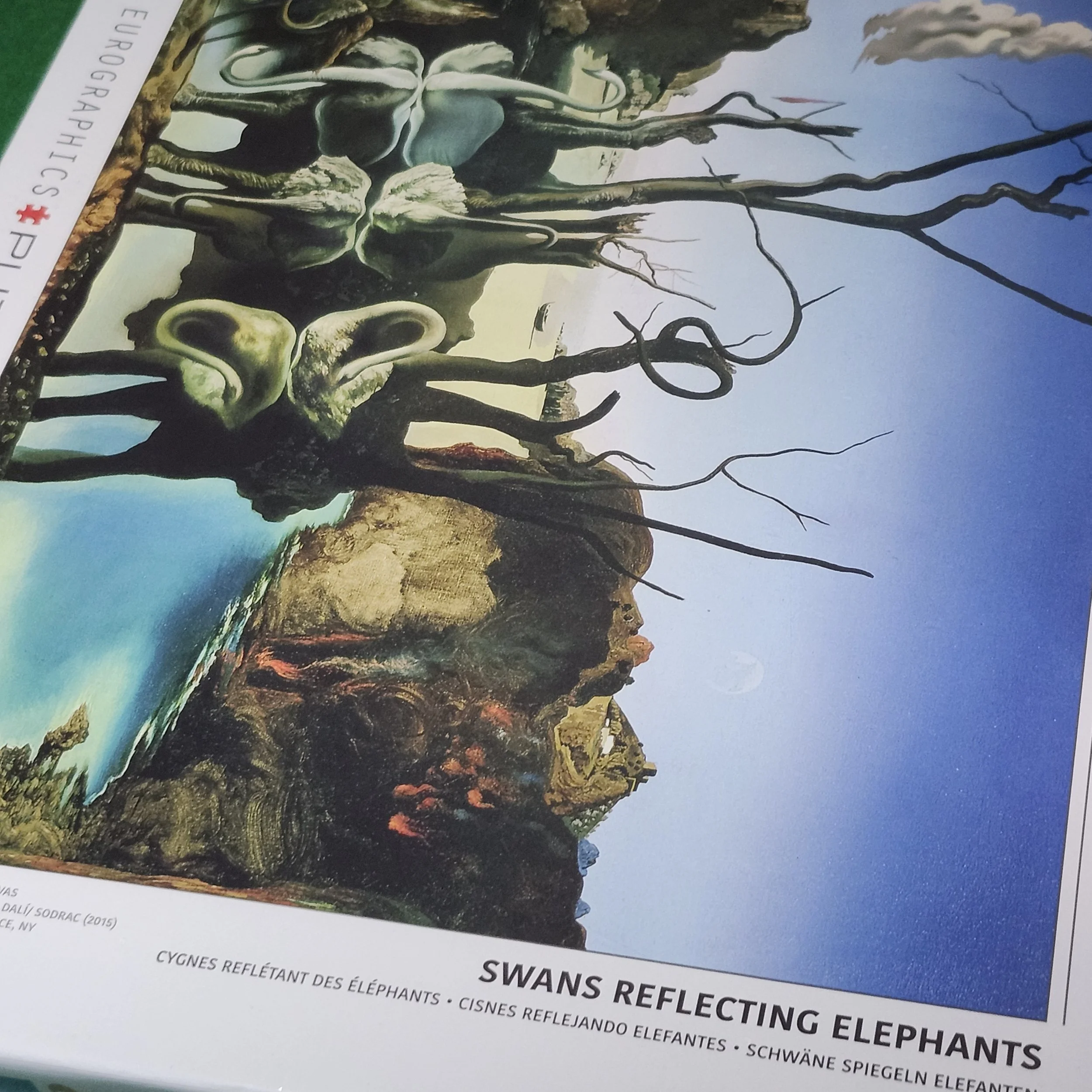 SWANS REFLECTING ELEPHANTS