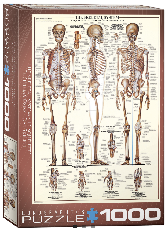 Screenshot 2026-04-09 203721.png