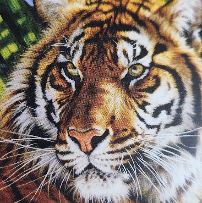 Screenshot 2026-03-27 131559.png