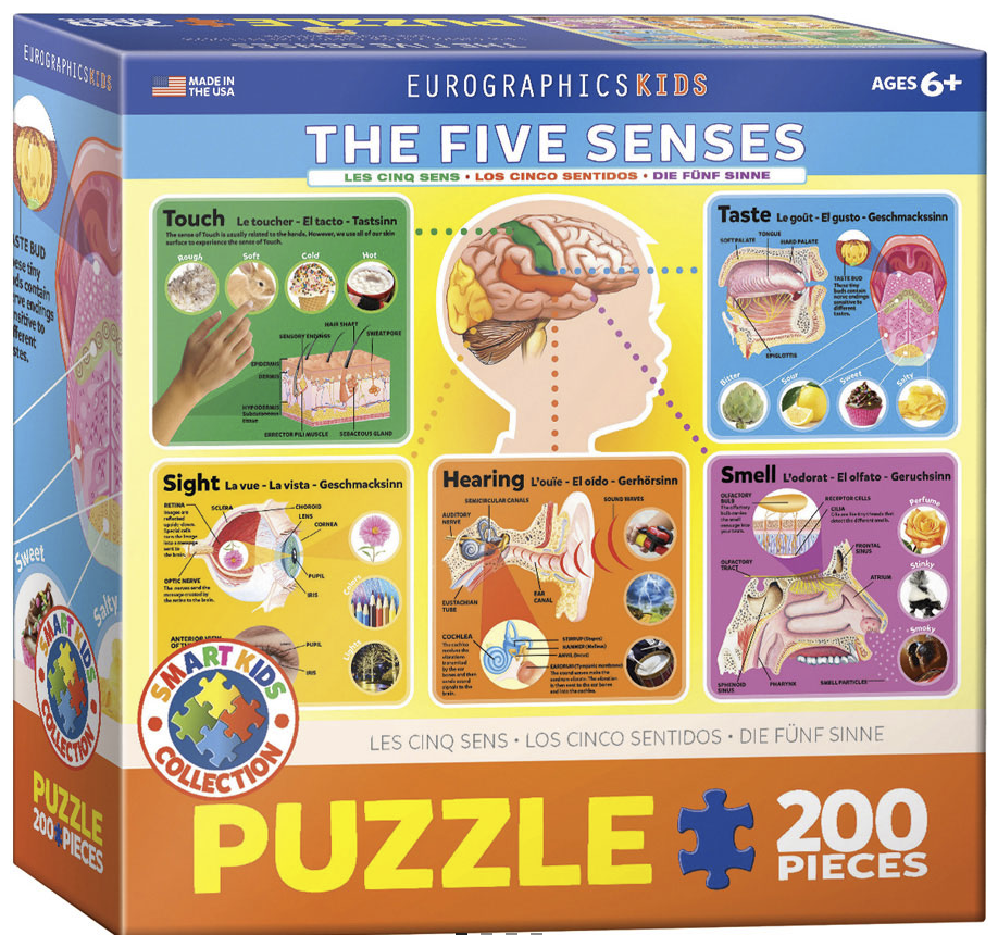 THE FIVE SENSES