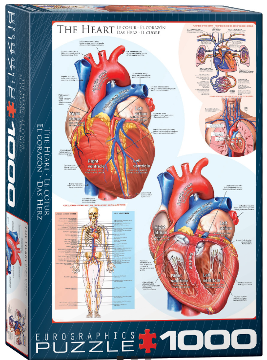 Screenshot 2026-04-09 203812.png