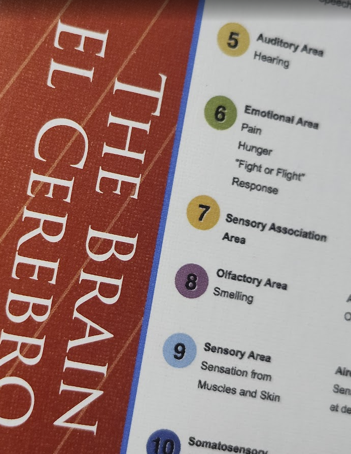 Screenshot 2026-03-25 151539.png