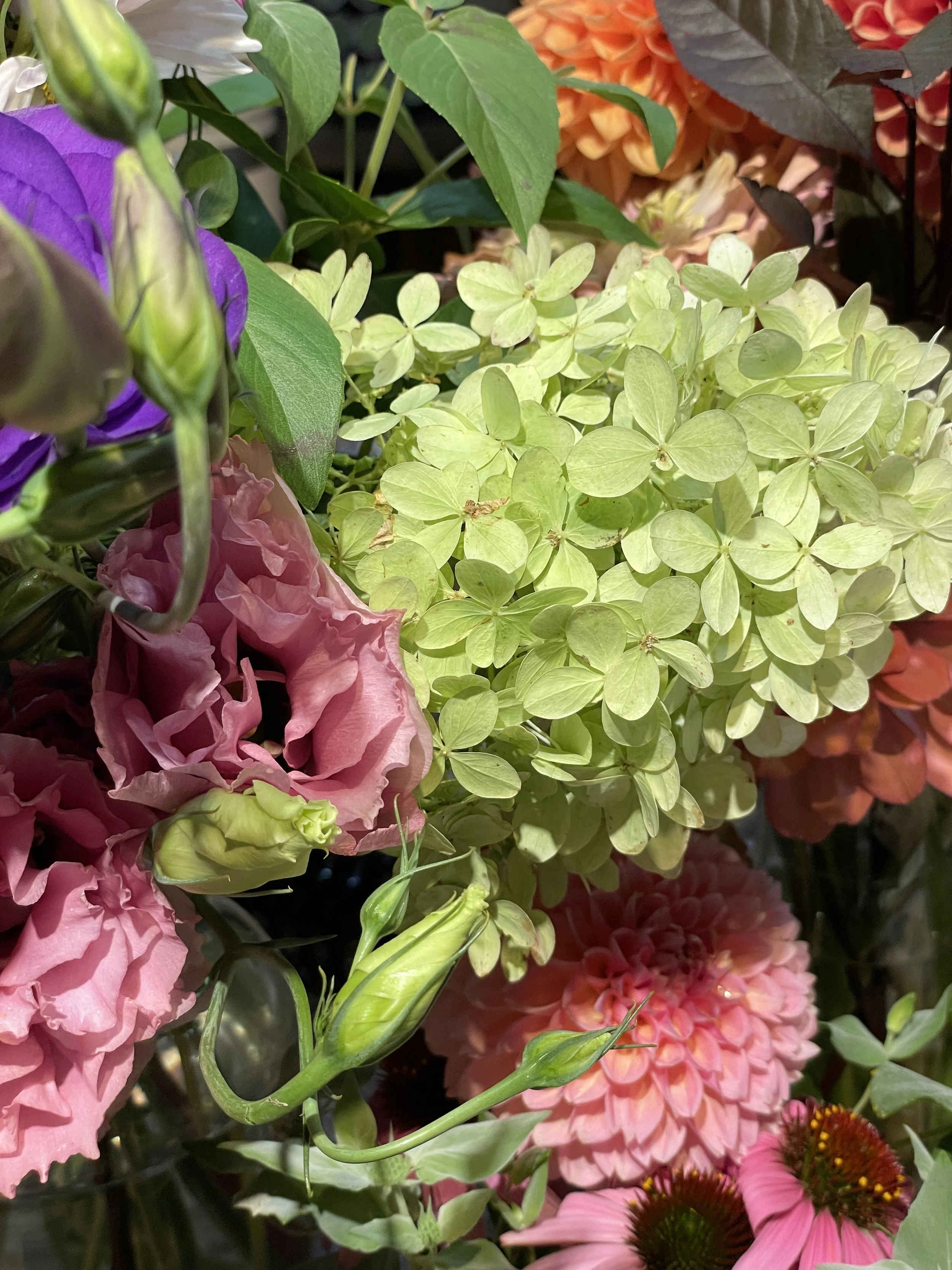 2026  Bouquet Subscription (farm pick up)