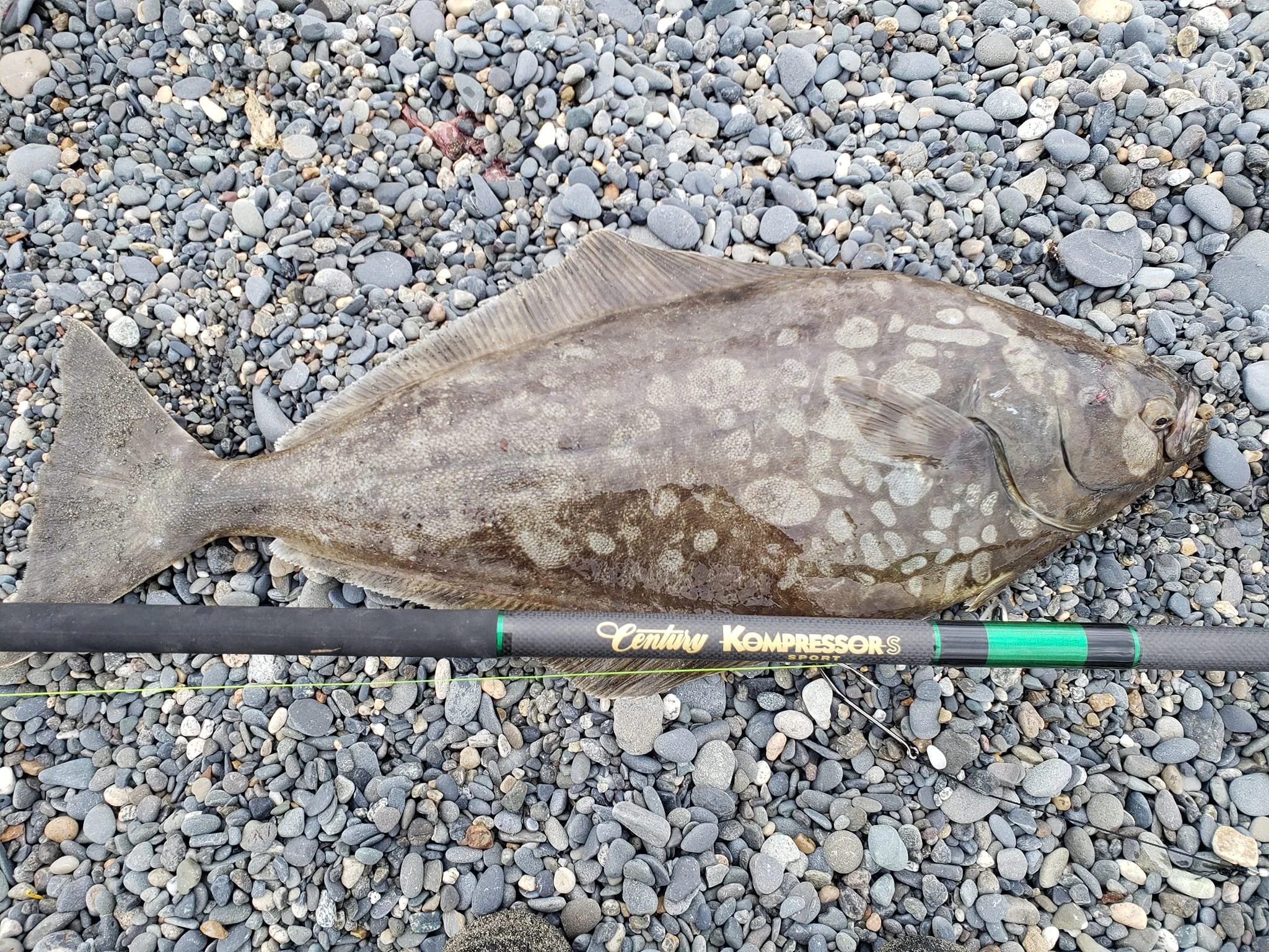 Customized Surf Trip