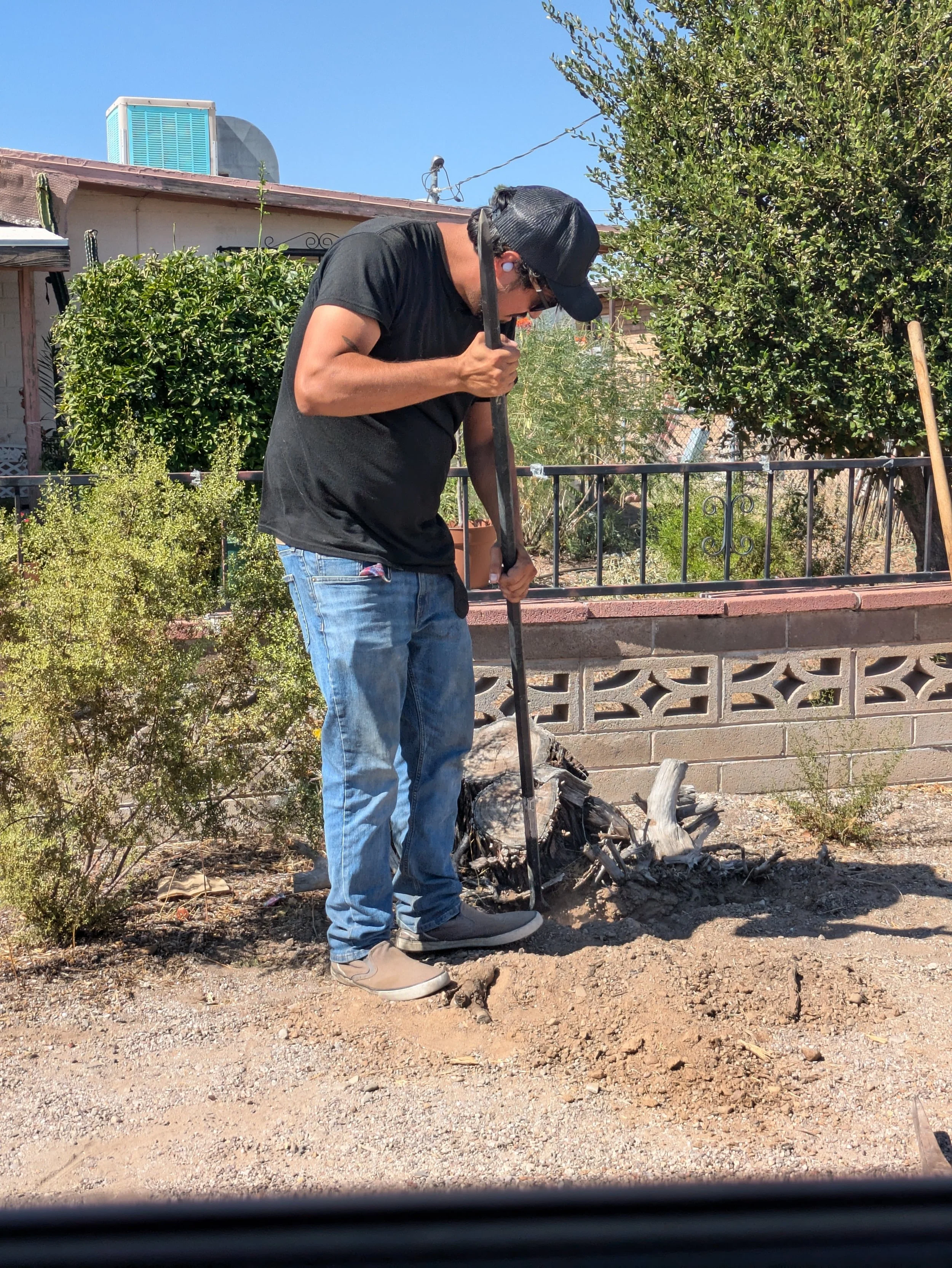 Ongoing Yard Maintenance