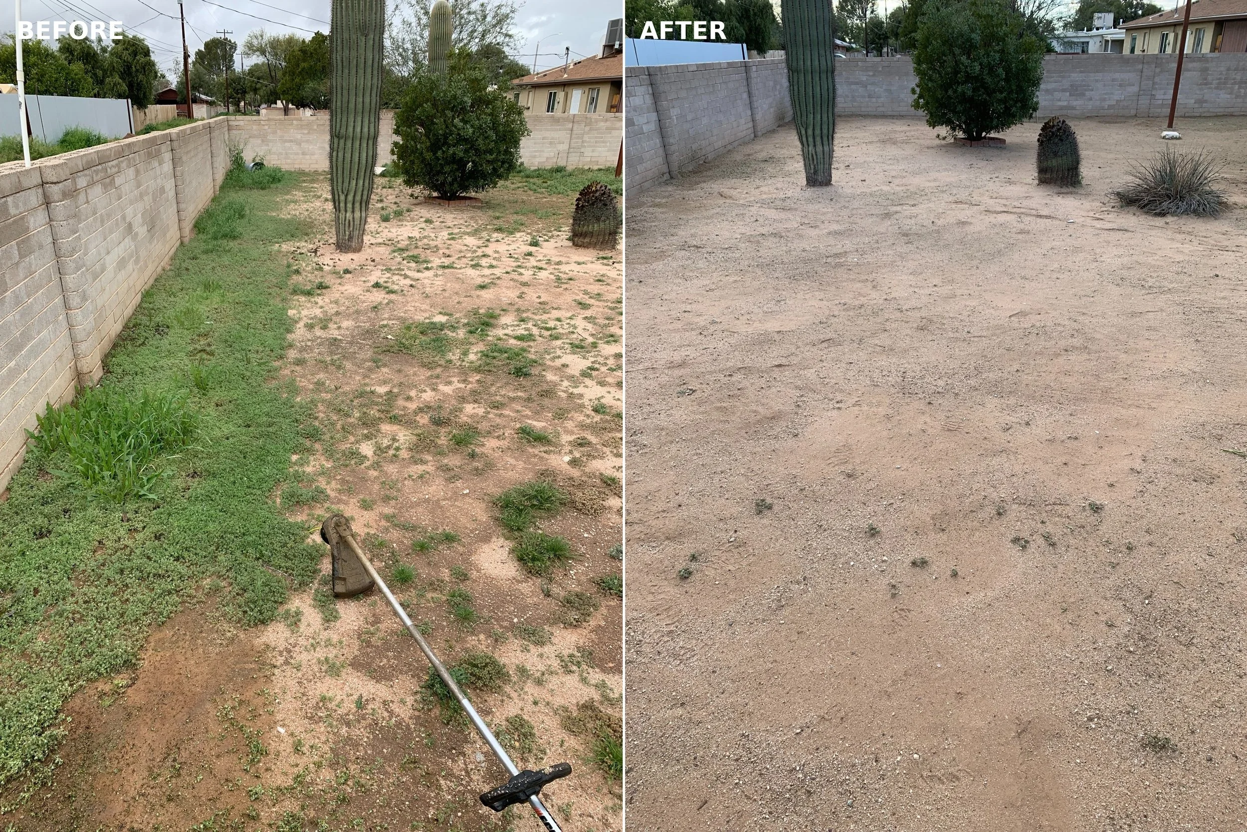 Front Yard New Customer Special