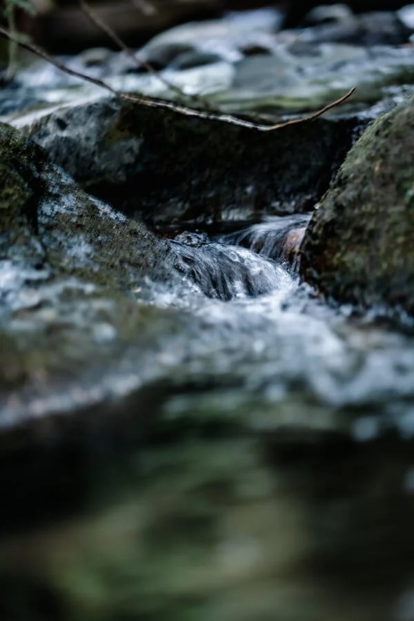 Close-up of a small stream flowing over rocks in a natural setting.