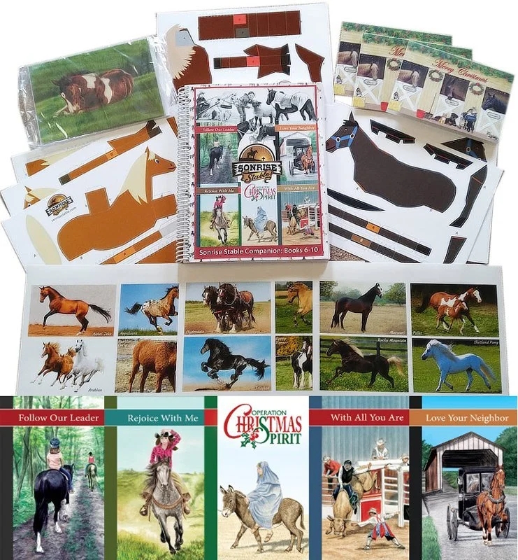 Companion Guide 2 Plus Books 6 - 10