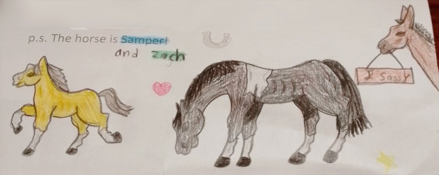 A hand-drawn illustration of two horses, one yellow with a gray mane and tail, and a gray and white horse in the center. There is a small pink heart, a yellow star, and a cow with a sign that says 'My Sassy.' Text includes 'p.s. The horse is samper! 
