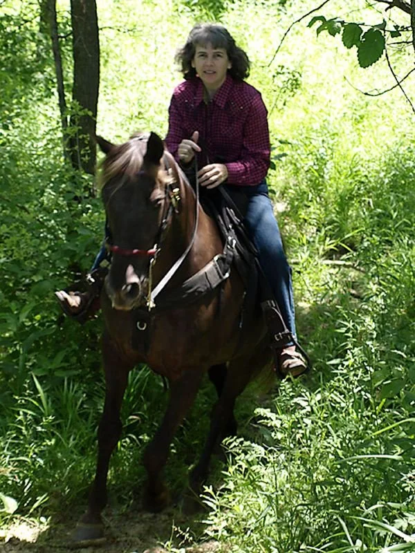 Vicki Watson Sonrise Stable Books author