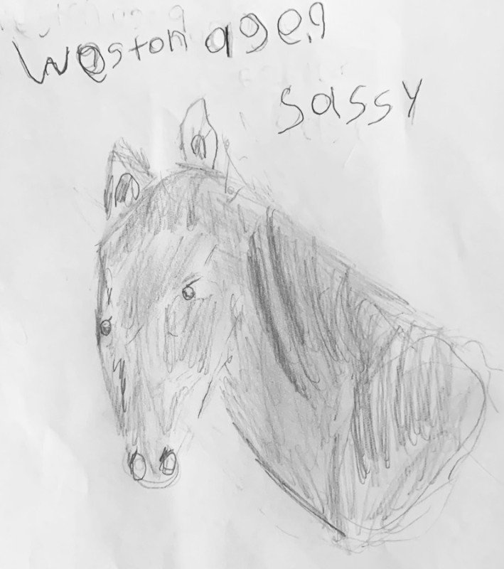 A child's pencil drawing of a horse's head with the words "Weston 9 g" and "Sassy" written above.