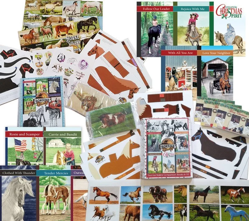 Companion Guides 1 and 2 - Plus Books 1-10