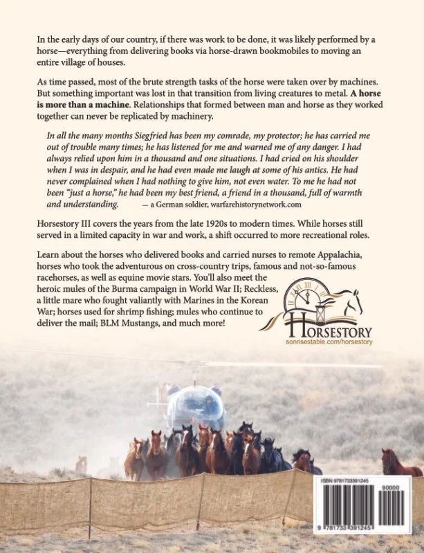 horsestory3-cover-back-gi.jpg