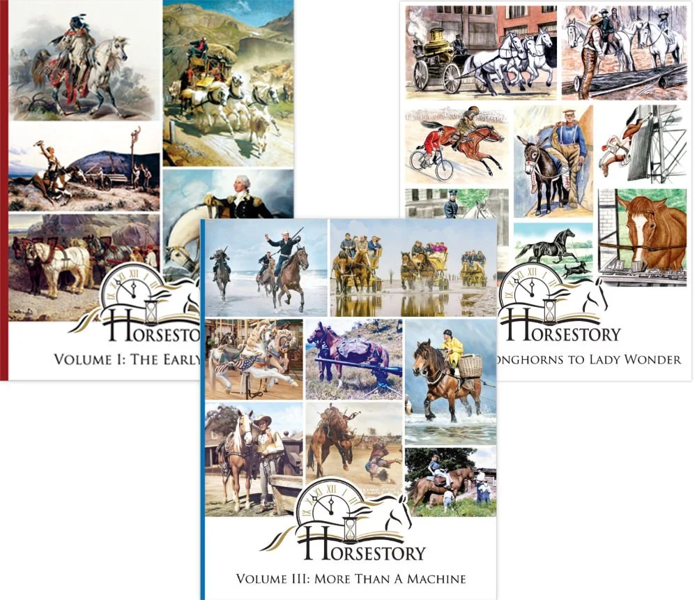 Horsestory Three Volume Set