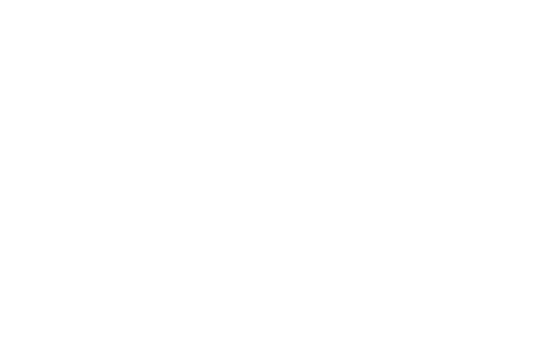 Horsestory amazing horses in history