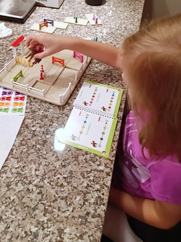 playing horse academy