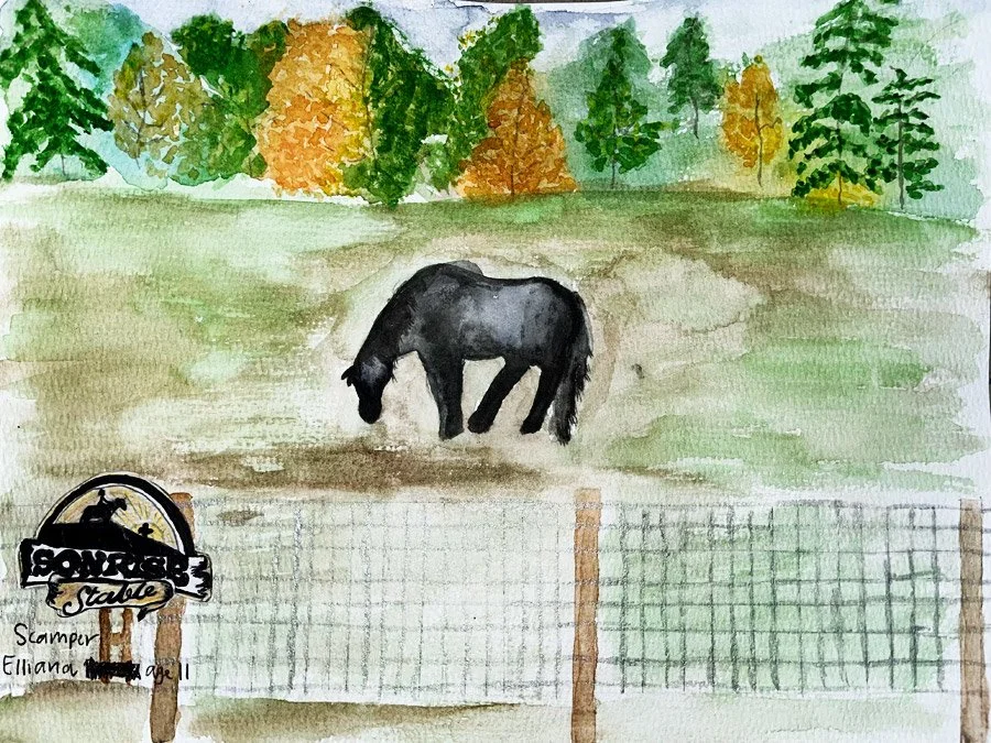 Watercolor painting of a black horse grazing in a field with trees in autumn foliage in the background. A wooden fence is in the foreground, and a sign with a logo and the text "Gomerville State" and "Scamper Ehlanna age 11" is on the left side.