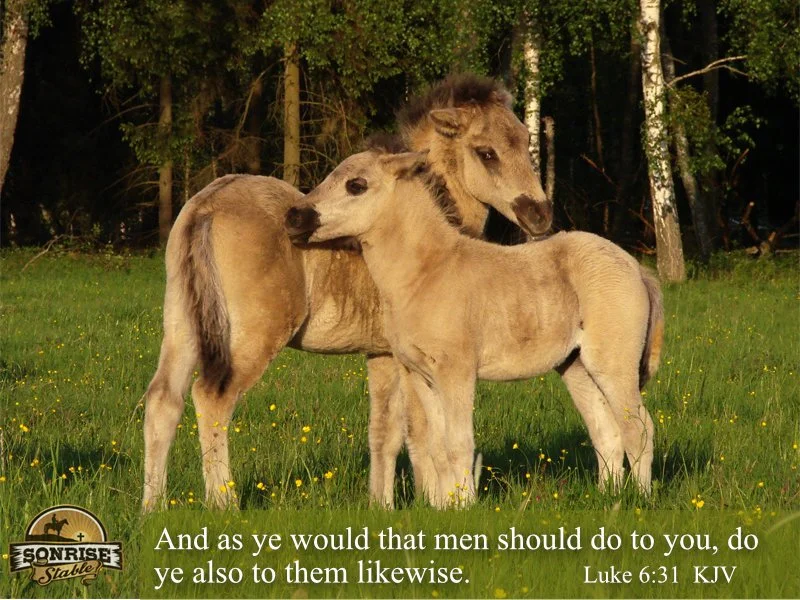 Two young lions, one adult lion, standing in a grassy field near trees, with a Bible verse from Luke 6:31.