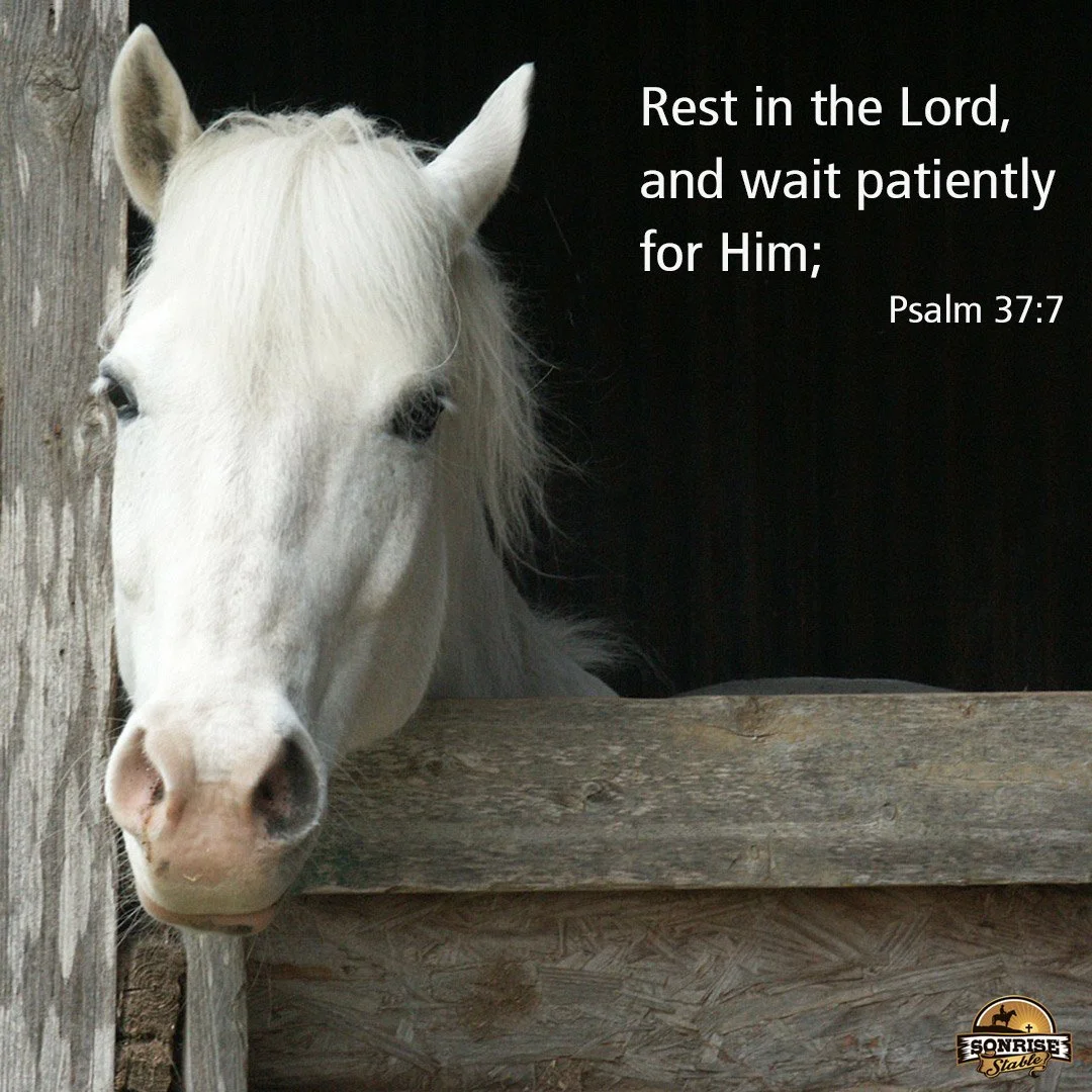 White horse peeking out from a wooden stable with a Bible verse from Psalm 37:7 displayed.
