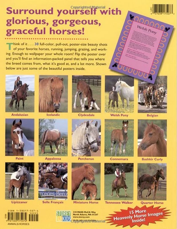 horse-breeds-posters-30-gi.jpg