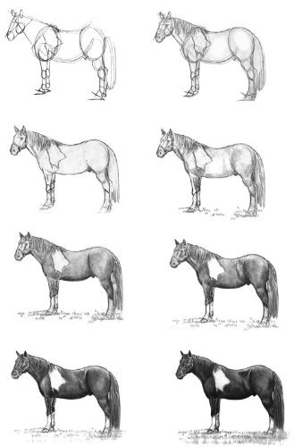 Draw Scamper from Sonrise Stable Books