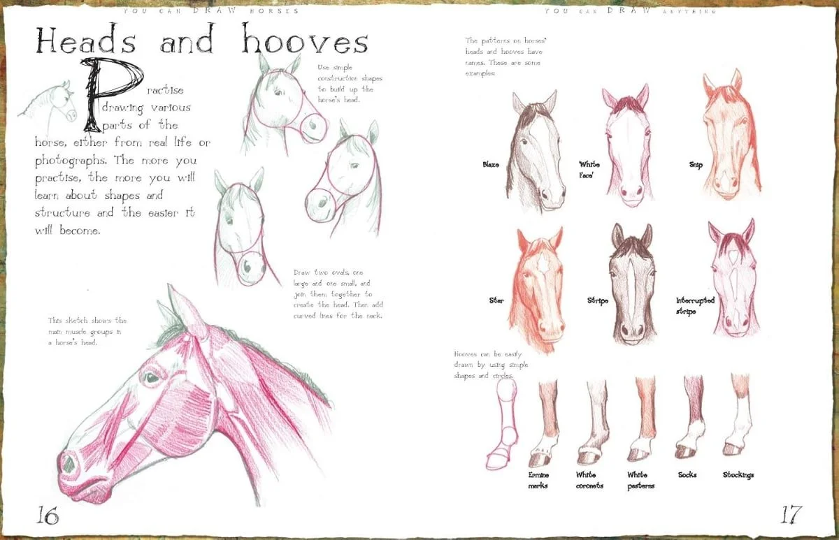 draw-horses-bergin3.jpg