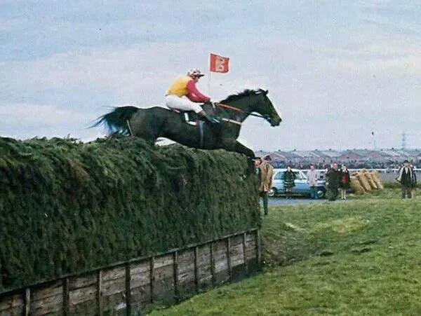 Grand National steeplechase