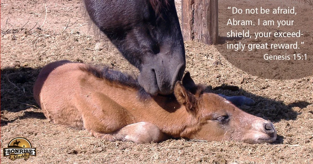 A black dog gently sniffs a small, brown resting foal lying on the ground, with a quote from Genesis 15:1 about courage and divine protection.