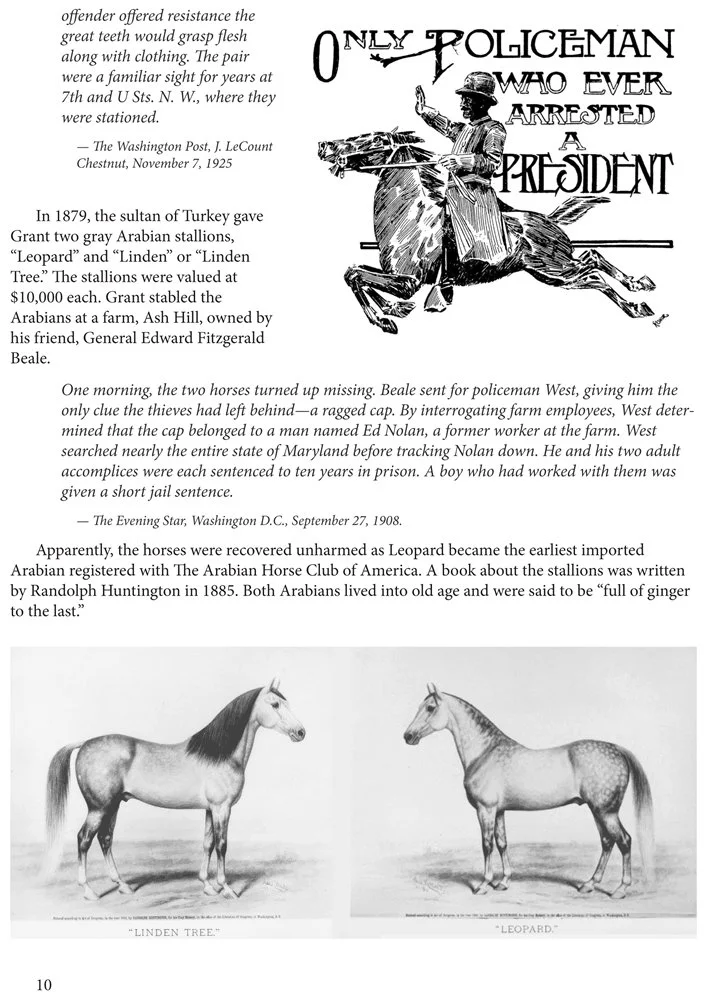 horsestory2-16-gi.jpg